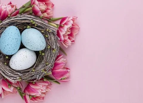 Spring greeting card. Easter eggs in the nest. Spring flowers tulips. Stock Photos