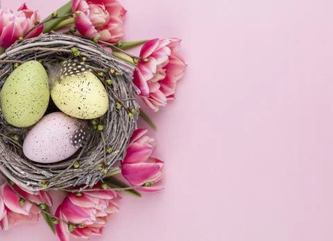 Spring greeting card. Easter eggs in the nest. Spring flowers tulips. Stock Photos