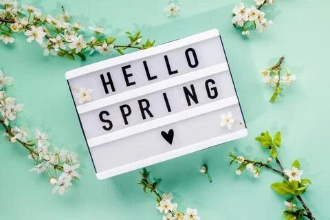 Spring greeting displayed on a lightbox with decorative flowers on a light .. Stock Photos