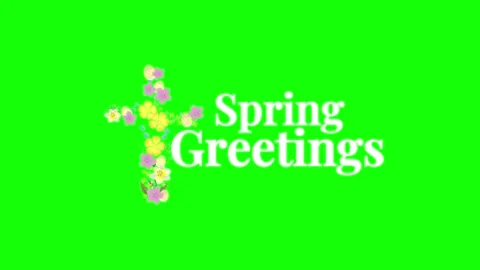 Spring greeting text animation with flowers Stock Footage 340613579