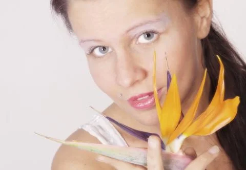 Spring greetings Stock Photos