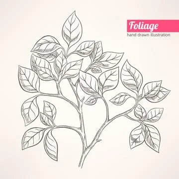 Spring hand-drawn twig Stock Illustration
