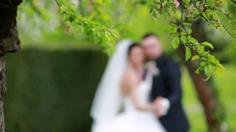 Spring happy wedding nature park Stock Footage 84979830