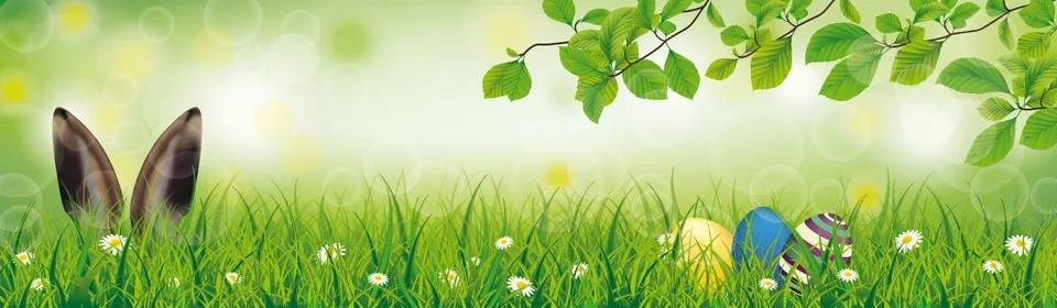 Spring Hare Easter Eggs Grass Beech Twigs Header Stock Illustration