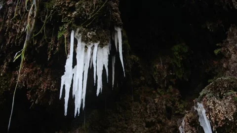Spring has arrived: melting icicles and snow Stock Footage 238844821