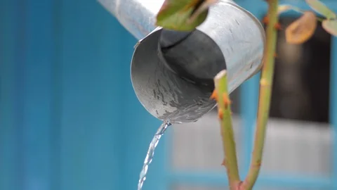 Spring has come, meltwater is running down from the roof. 스톡 동영상 124703330