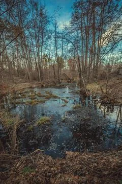 Spring has come to nature Stock Photos