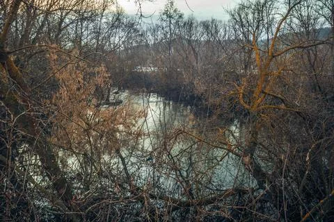 Spring has come to nature Stock Photos