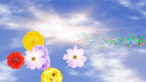 Spring Has Sprung Stock Footage