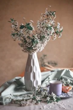 Spring healthy Breakfast fried cheesecakes, against a blooming bouquet flower Stock Photos