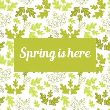 Spring is here . Doodle hand drawing green oak leaves on white background. Stock Illustration