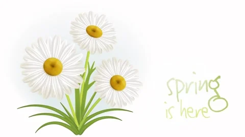 Spring is here Stock Footage 231471814