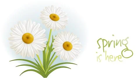 Spring is here Stock Illustration