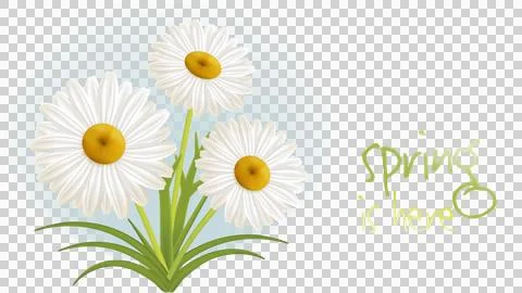 Spring is here Stock Illustration