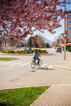 Spring is Here Stock Photos