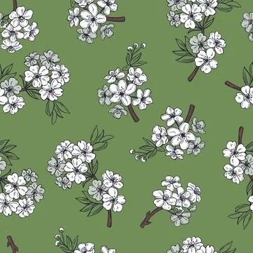 Spring ?herry flowers. .Vector  pattern. Stock Illustration