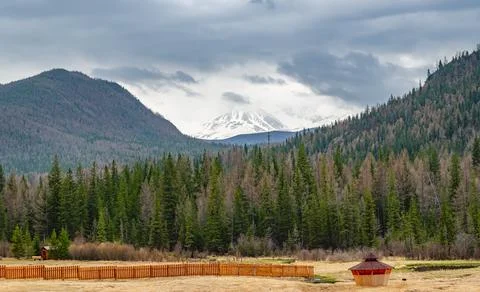 Spring high mountain landscape with mixed forest, snow capped peak in the clouds Stock Photos