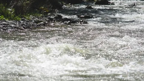 Spring high water flows in the mountain river Ursul. Rocks and water rapids Stock Footage 76352654