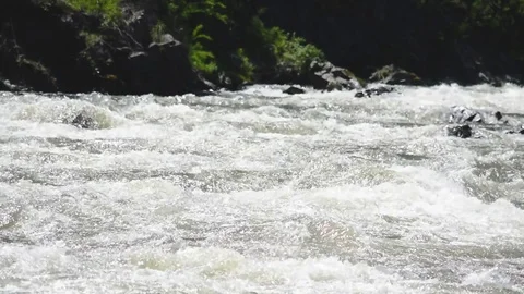 Spring high water flows in the mountain river Ursul. Rocks and water rapids Stock Footage 76353283
