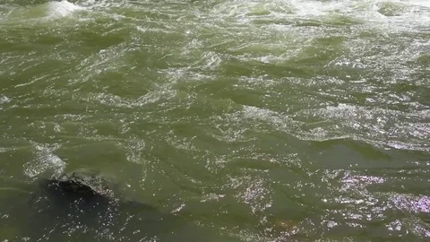 Spring high water flows in the mountain river Ursul. Rocks and water rapids Stock Footage 76354616