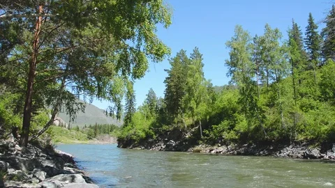 Spring high water flows in the mountain river Ursul. Rocks and water rapids Stock Footage 76355104