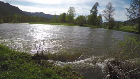 Spring high water flows in the mountain river Ursul. Rocks and water rapids Stock Footage 83239479