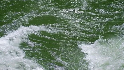 Spring High Water on the St. Joe River 스톡 동영상 113245843