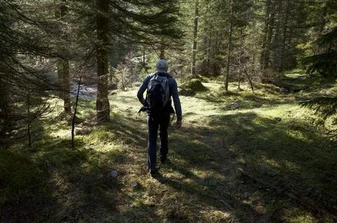 Spring hike 1 Foto stock