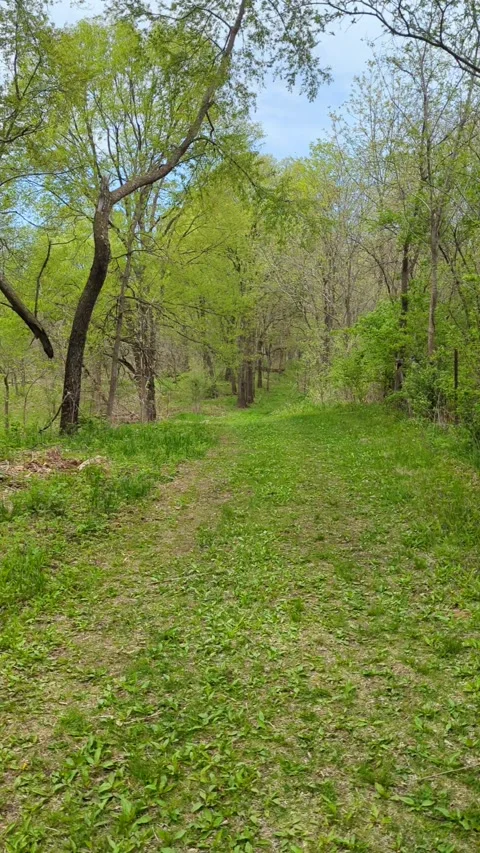 A spring hike Stock Footage 300195373