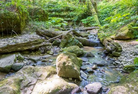Spring hike to the sources of a mountain river along the riverbed and canyon Stock Photos
