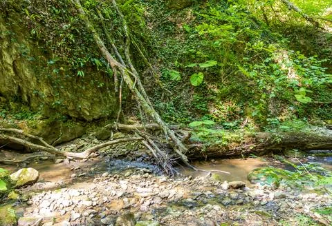 Spring hike to the sources of a mountain river along the riverbed and canyon Stock Photos