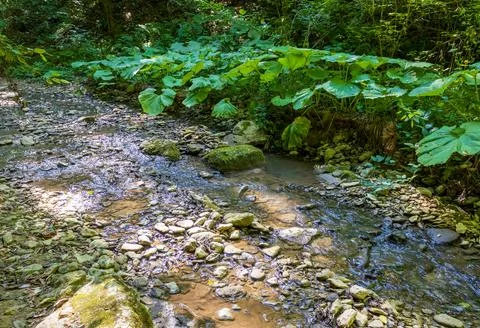 Spring hike to the sources of a mountain river along the riverbed and canyon Stock Photos