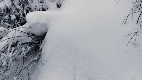 A spring for hikers in a snowy winter forest. Stock Footage 219945531