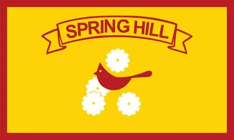 Spring Hill flag, Florida state, USA, vector illustration 库存插图