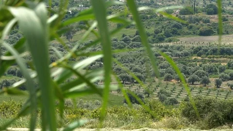 Spring hills of Cyprus in a spring time Stock Footage 112369698