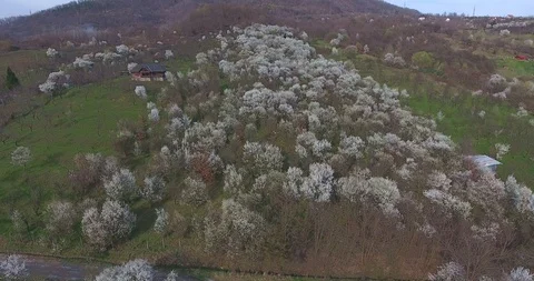 Spring on the Hills Stock Footage 98204798