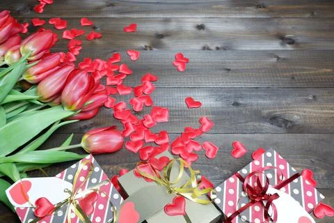 Spring holidays template from red silk hearts, gift boxes and red tulips 스톡 사진