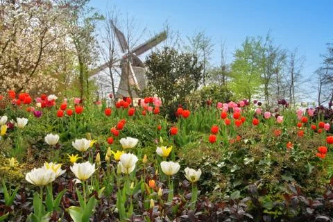 Spring in Holland Stock Photos