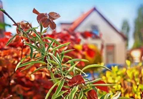 Spring house Stock Photos