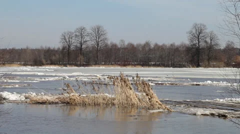 Spring ice floe. Stock Footage 22641768