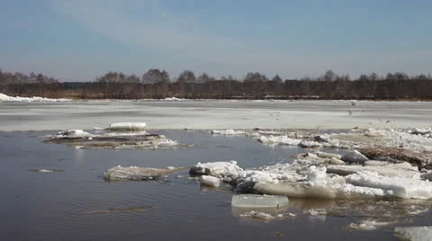 Spring ice floe. Stock Footage 22645154