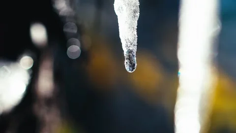 In spring, the ice melts and crystal water droplets in the sun Stock Footage 331494359