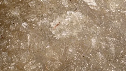 Spring ice melts in the water Stock Footage 74161218