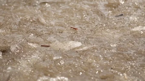 Spring ice melts in the water Stock Footage 74161453