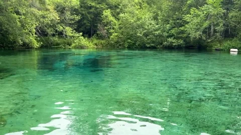 The spring in Ichetucknee State Park in Florida. Stock Footage 197538096