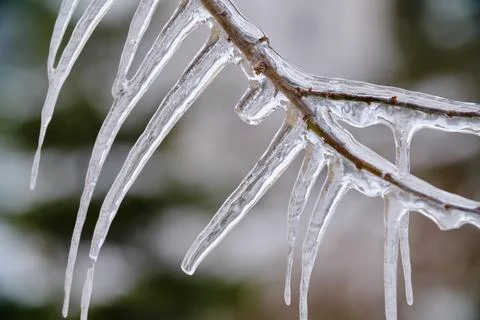 Spring icicles closeup Foto stock