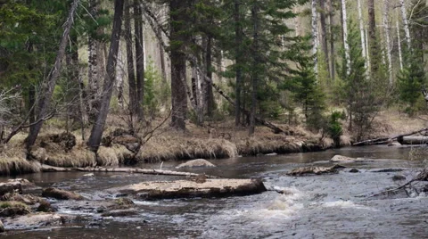 Spring idealistic landscape mountain river at the forest Stock Footage 57473759