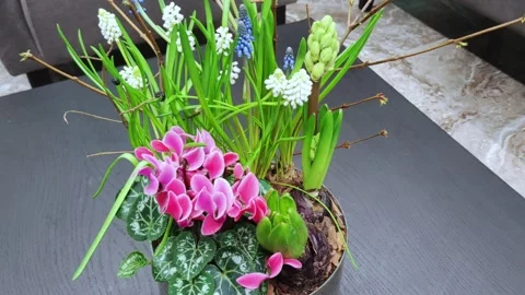 Spring ikebana. Floral composition with spring blooming flowers. Stock Footage 277635973