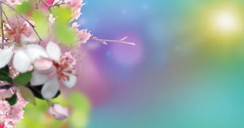 Spring Stock Illustration