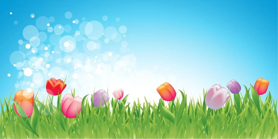 Spring illustration background Stock Illustration